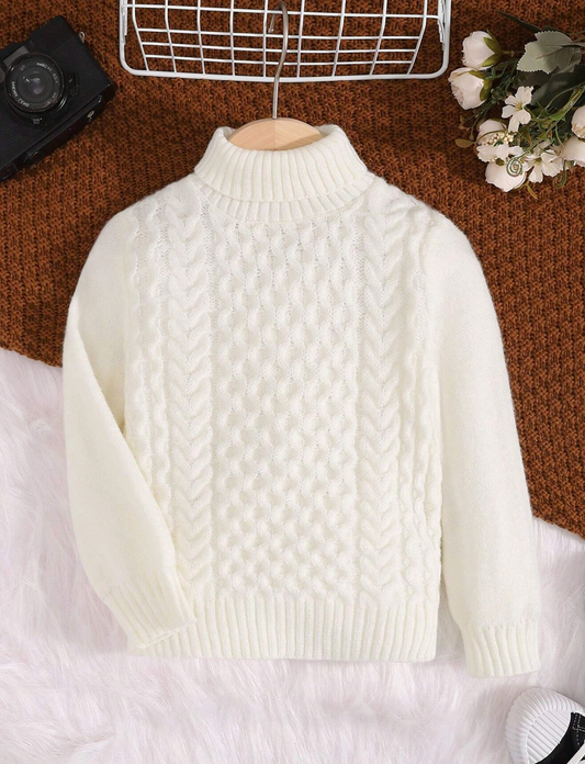 Pull élégant en tricot tressé avec col roulé