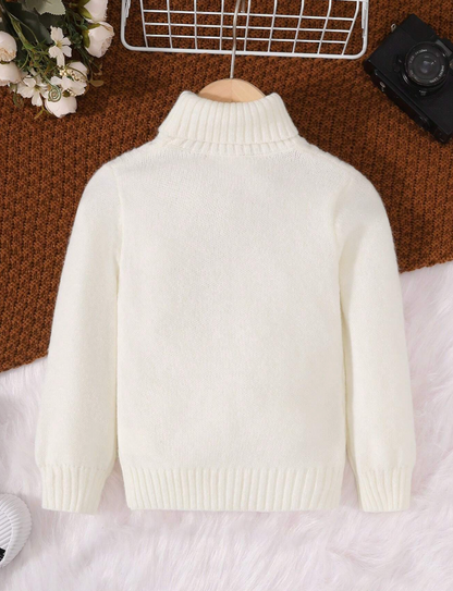 Pull élégant en tricot tressé avec col roulé