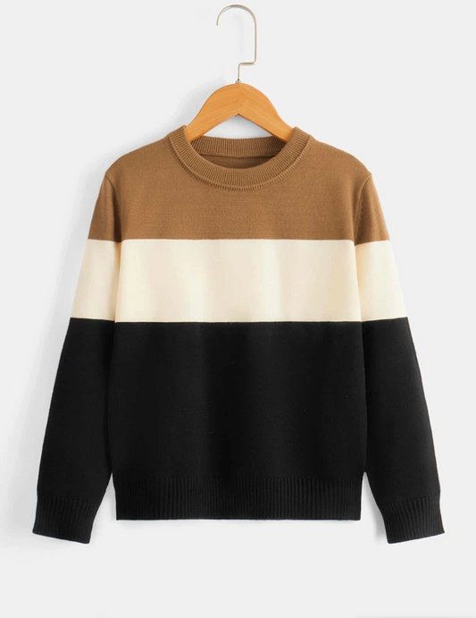 Pull élégant avec bloc de couleur et col rond